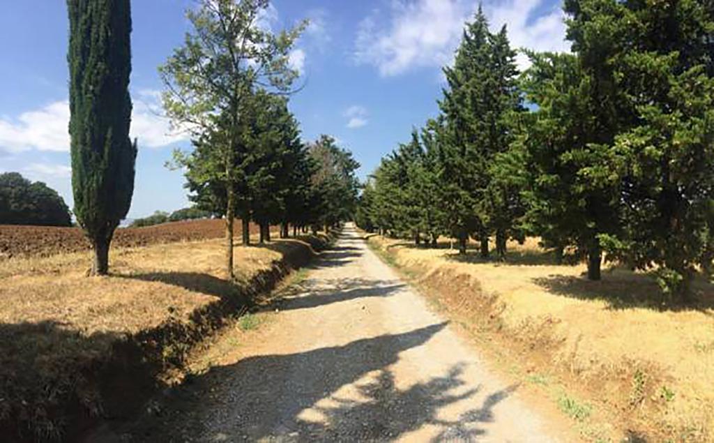Agriturismo Ipoderi Chianciano Terme Luaran gambar